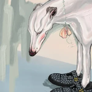 Trusted Brand Dog In Shoes