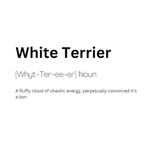 White Terrier Definition Meaning Popular
