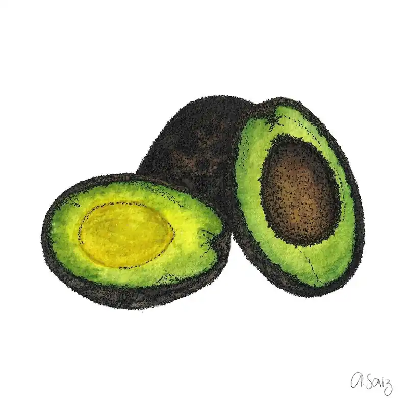 Wholesale Avocados