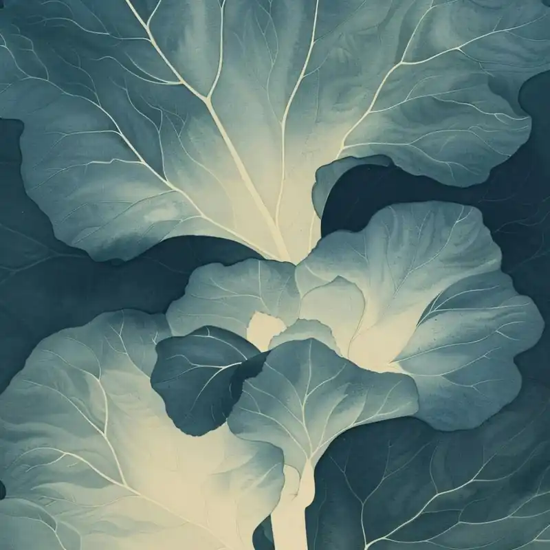 Super Sale Asian Cabbage
