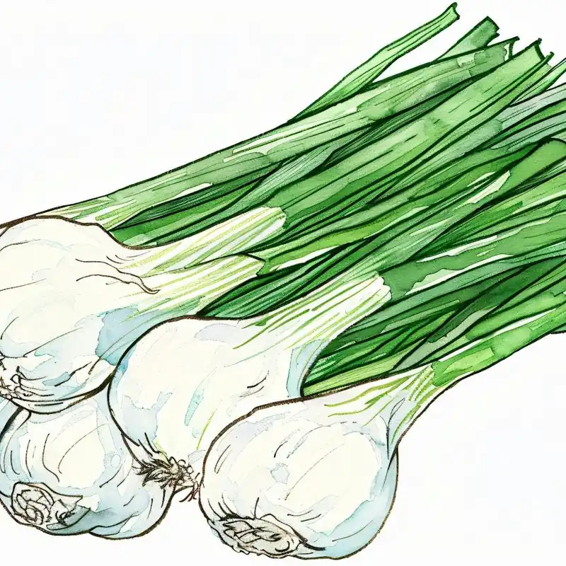 White Onions Exclusive Offer