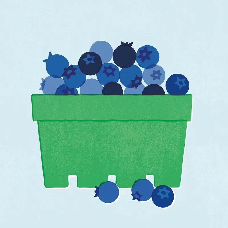 Trusted Brand Blueberry Square