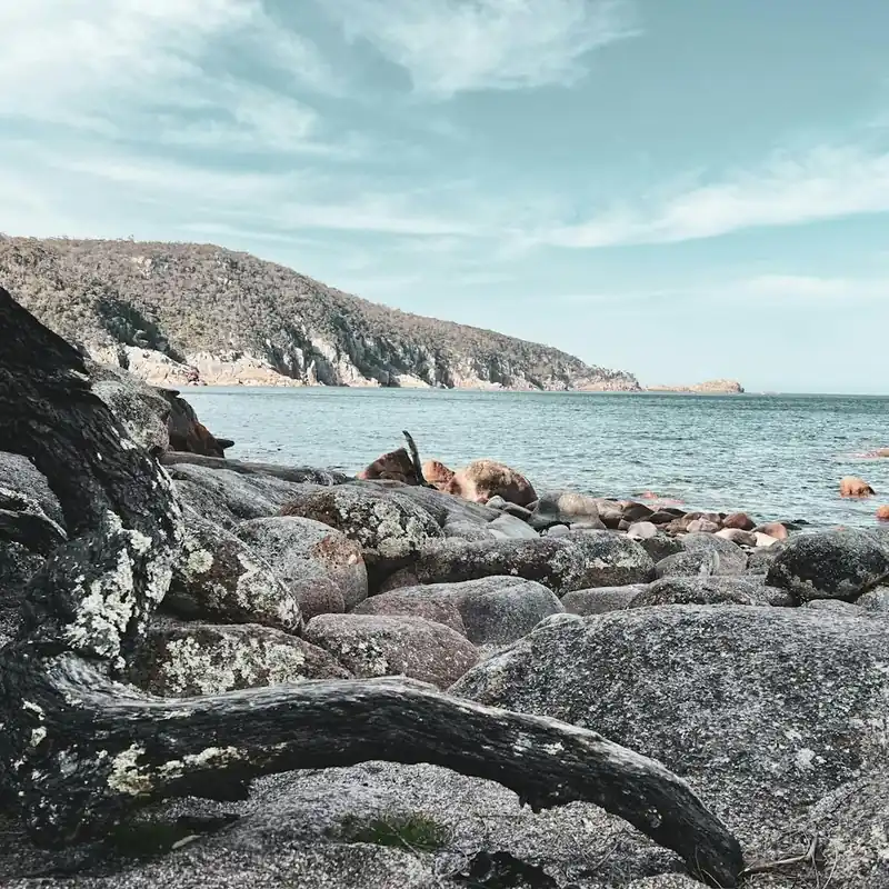 Bulk Order Rocky Shore