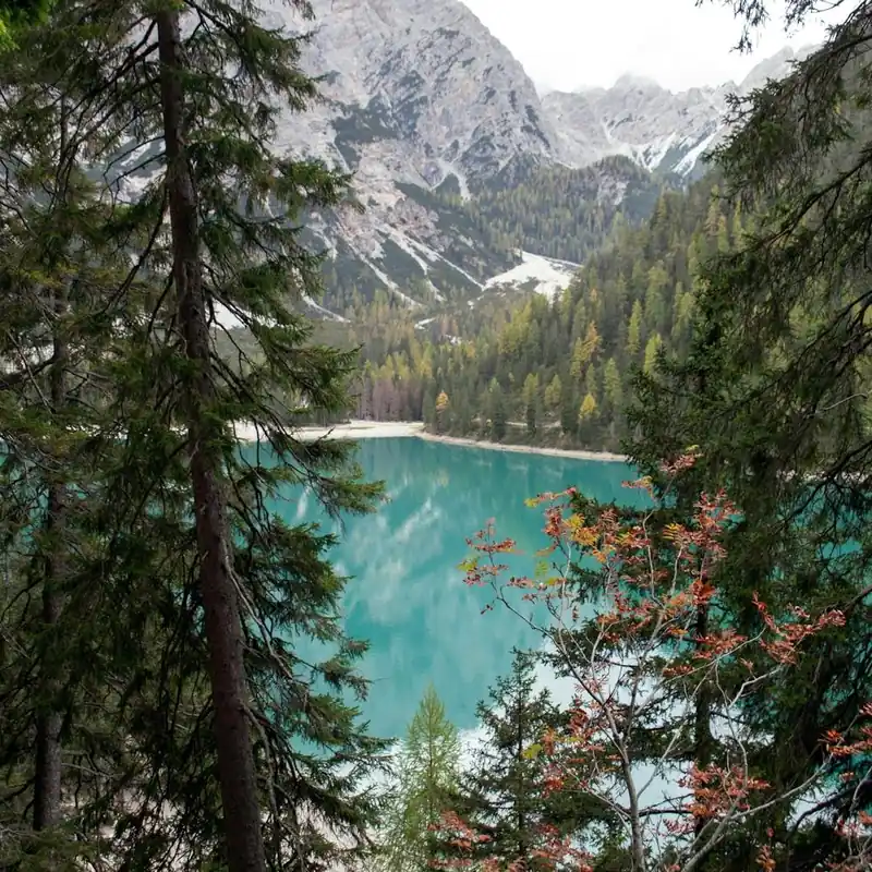 Bargain Lake Braies