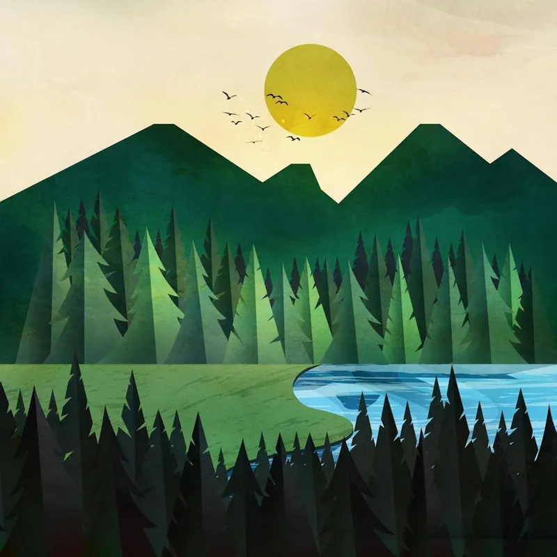 Must Have Sunny Day Near The Clear Forest Lake