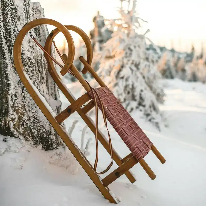 Winter Sleigh 1 Reduced Price
