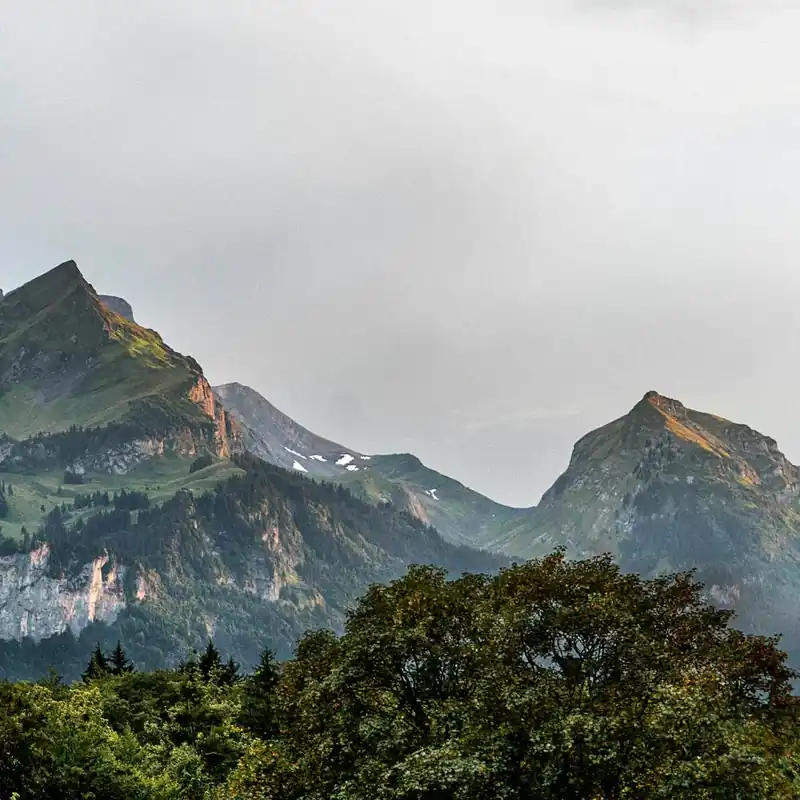 Swiss Alps Today Only