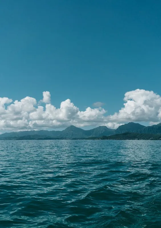 Top Rated Hawaiian View