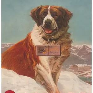 St Bernard Dog Vintage Poster New Arrival