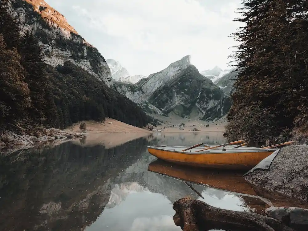 Flash Sale Rustic Canoe
