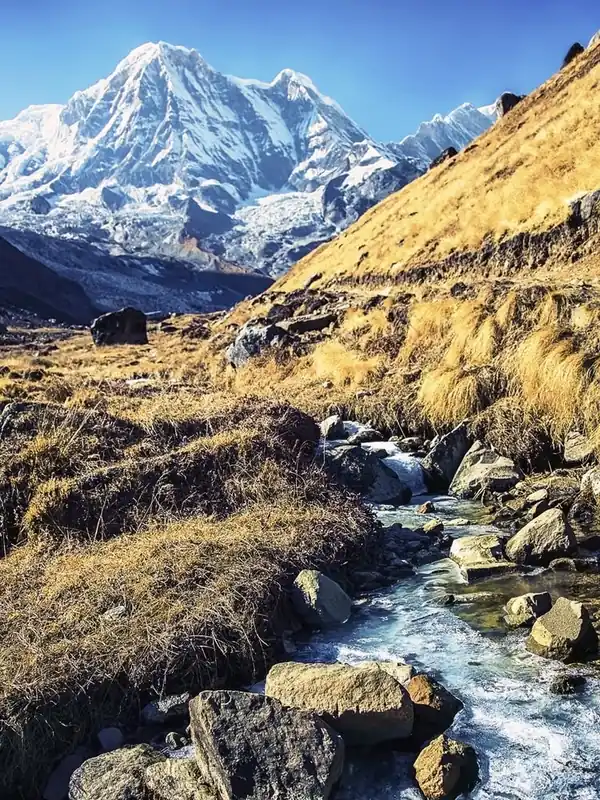 Annapurna Hassle-Free Returns