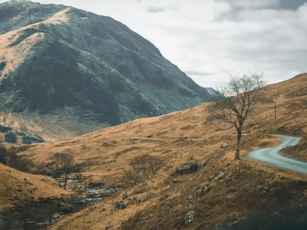 Scotland Road Authentic