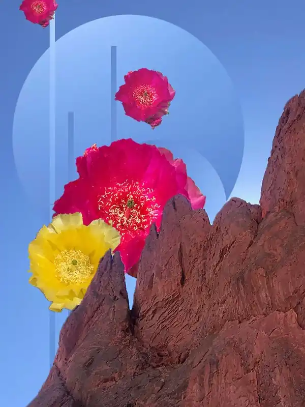 Garden Of The Gods Hot Deal