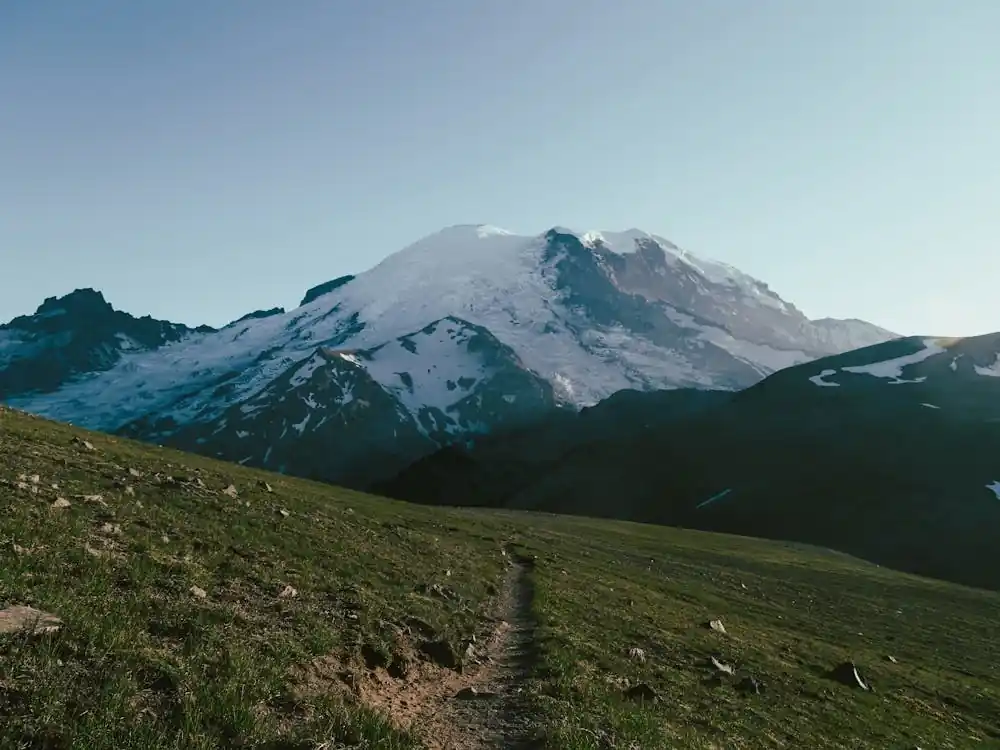 Brand New Trail to Rainier