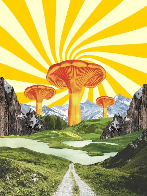 Cheap Mushroom Vibes