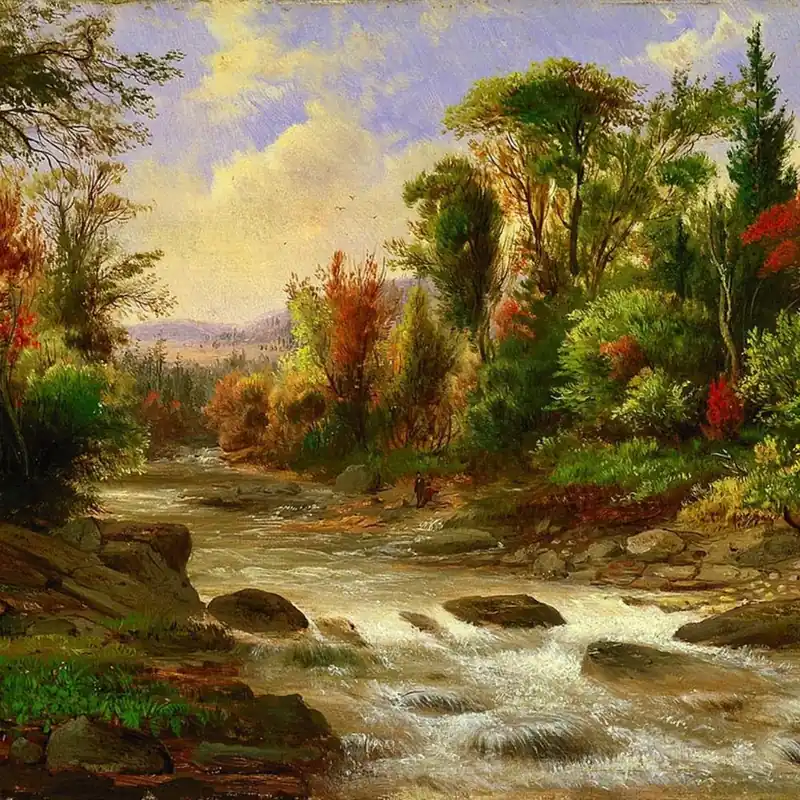 Stream In The Woods Same Day Shipping
