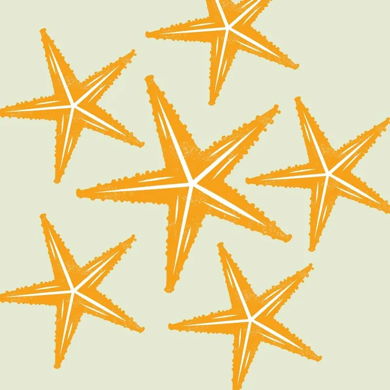 Starfish art print 1 Limited Offer