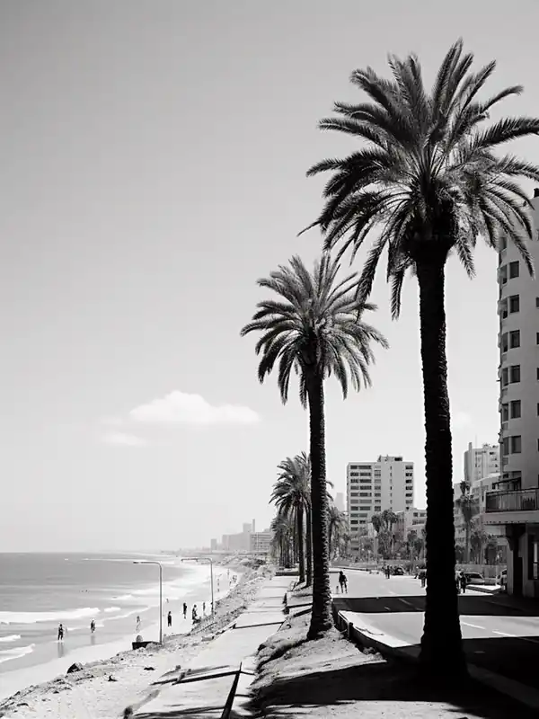 Tel Aviv Israel Mediterranean Black And White Photography Analogue 8 Markdown