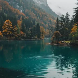 Swiss Alps Direct From Manufacturer