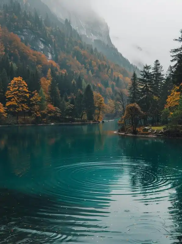 Swiss Alps Direct From Manufacturer