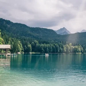 Sunlight At The Lake New Arrival