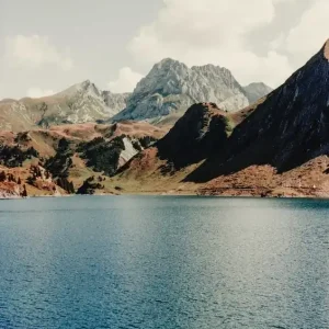 Trusted Brand Analog Lake