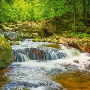 Waterfall In The Forest Today Only