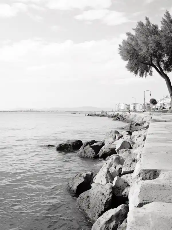 Free Returns Antibes, France, Mediterranean Black And White Photography Analogue 2
