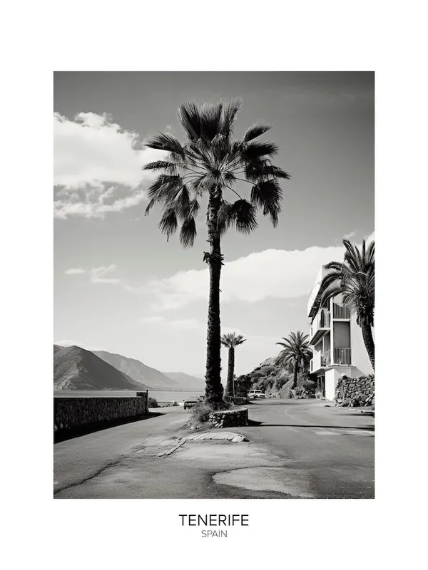 Poster Of Tenerife, Spain, Black And White Analogue Photography 1 Warranty Included