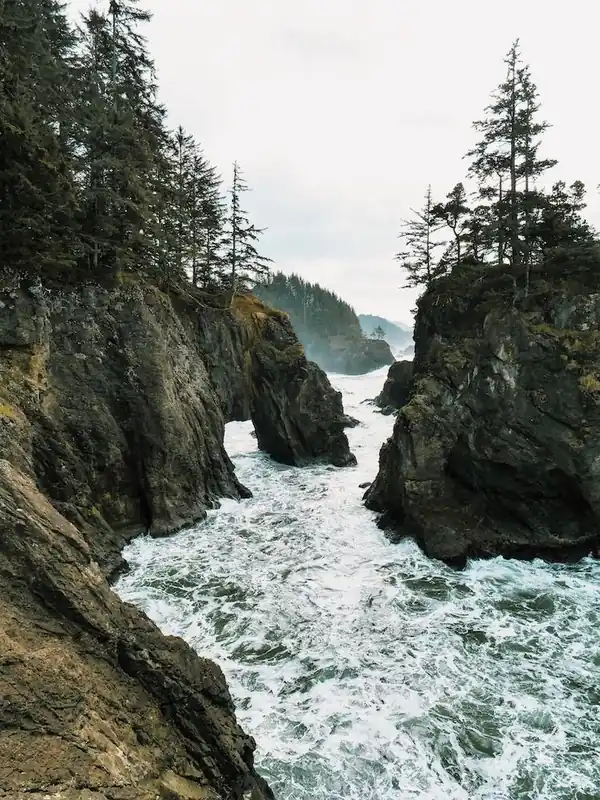 Pnw Ocean Waves Grab Now
