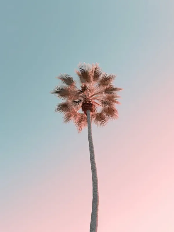 Simple Palm Tree Photography Get Yours