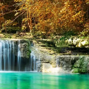 Top Rated Waterfall In The Forest 3