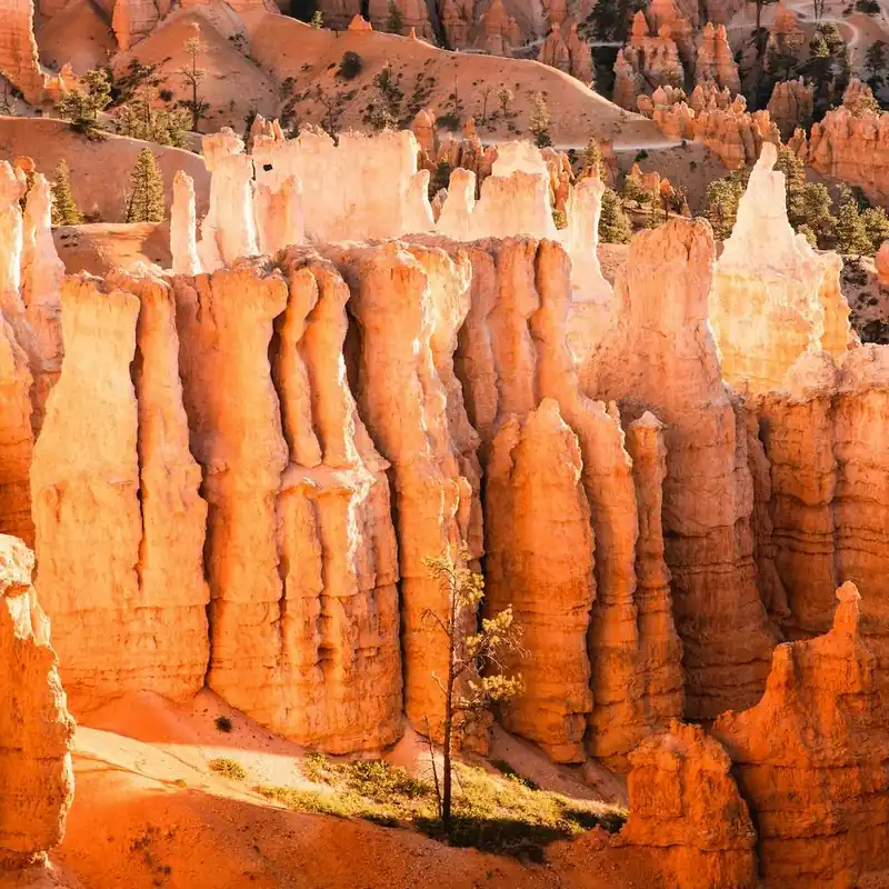 Utah Desert Square Cheap