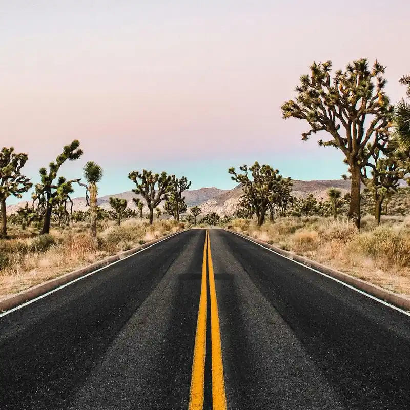 Joshua Tree National Park Sunset Square Budget