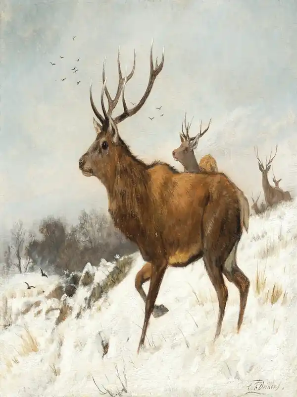 Deer In The Snow 1 Get Yours