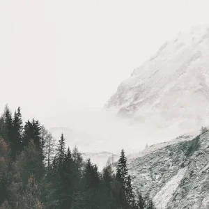 Wholesale Snowy Mountain Views