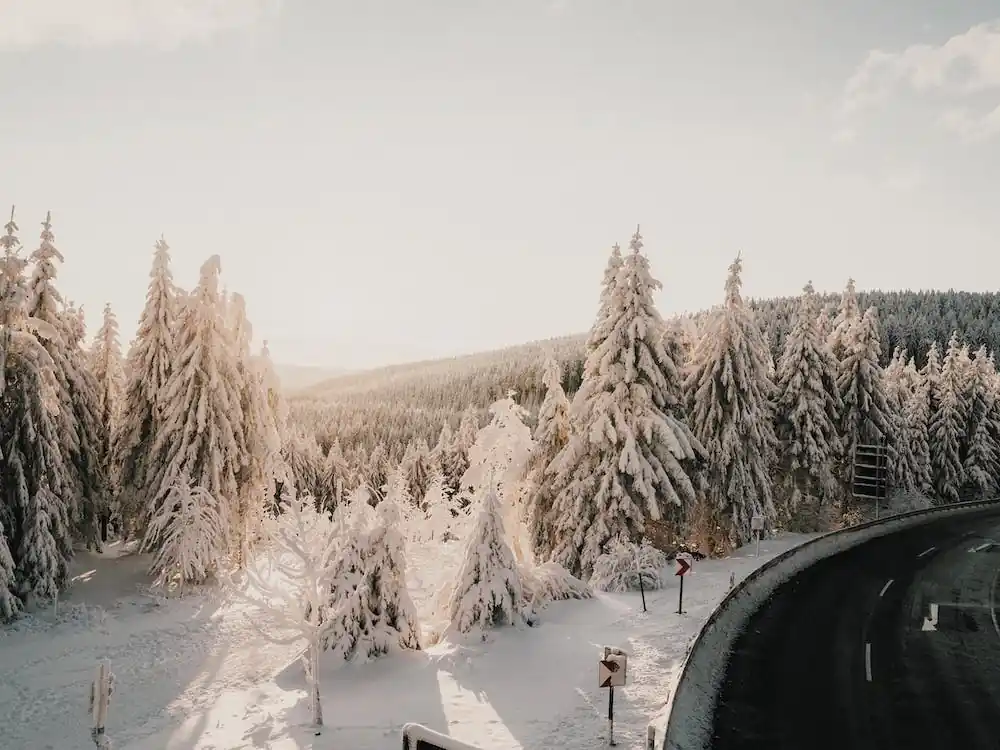 Snowy Winter Roadtrip Trending