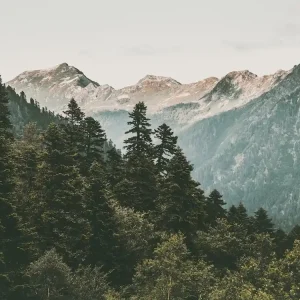 Warm Mountain Views Don’t Miss Out
