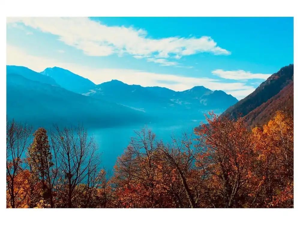 Autumn Mountain Place Order