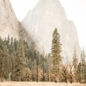Yosemite Landscape Low Price