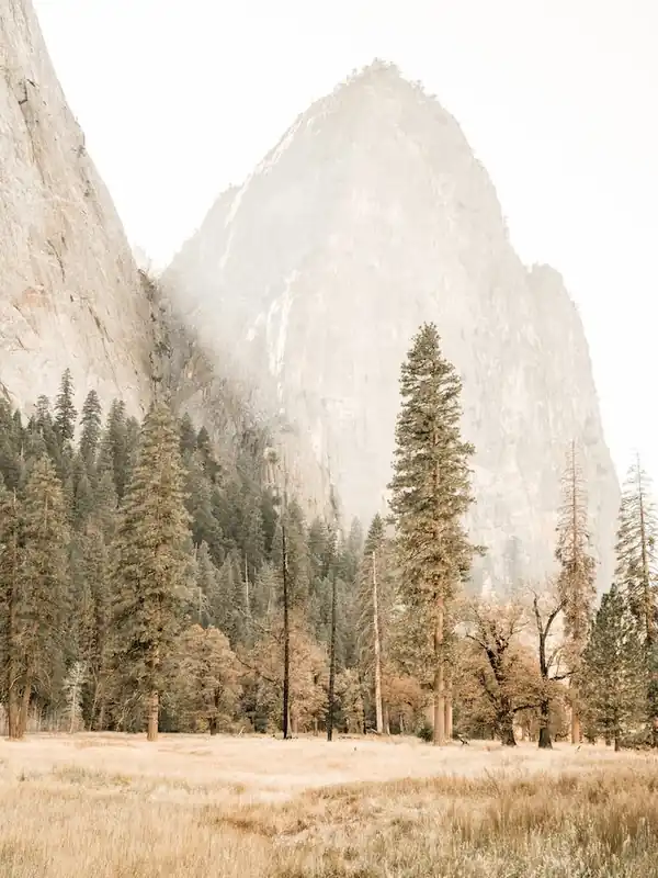 Yosemite Landscape Low Price