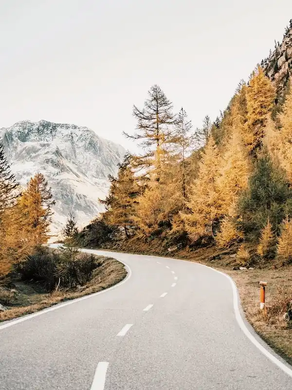Mountainside Road Big Sale