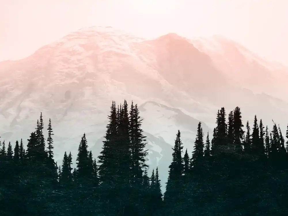 Flash Sale Mount Rainier Pastel Sunset