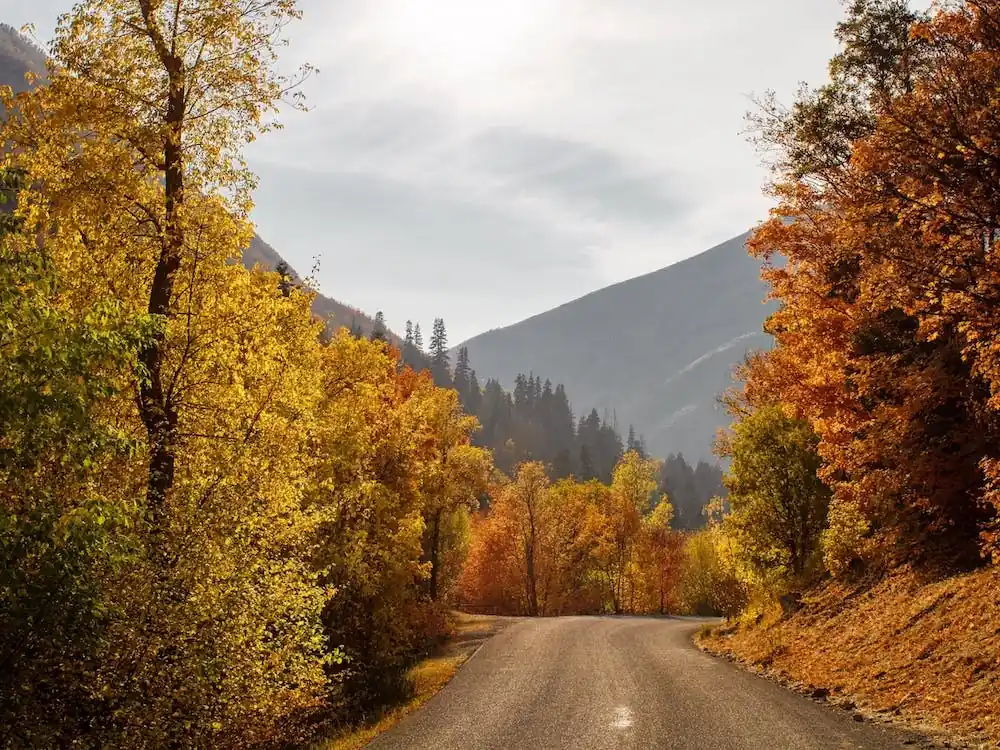Cheap Colorado Dirt Road