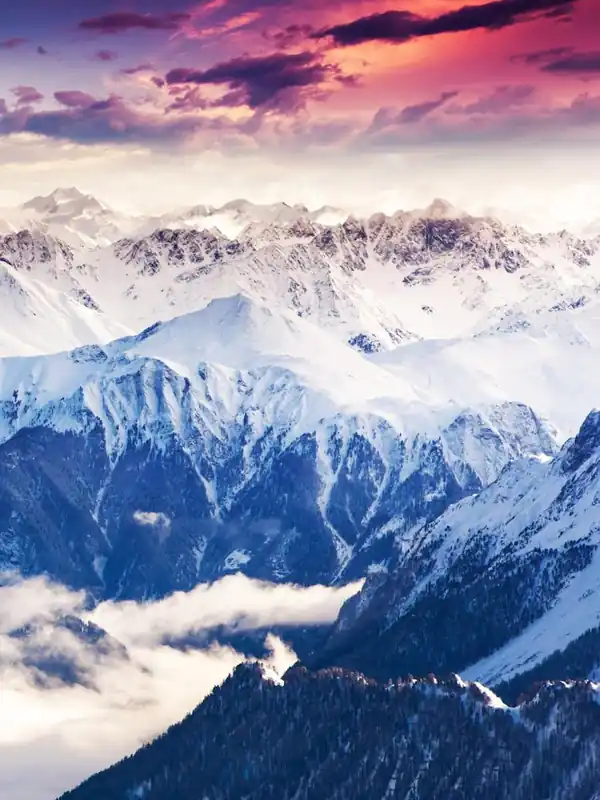 Money Back Guarantee Switzerland 1