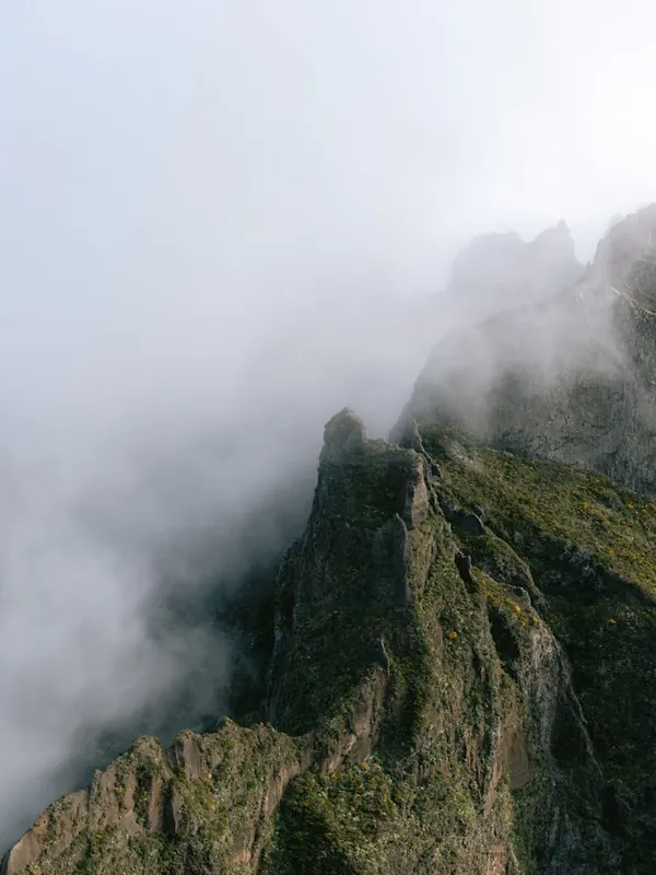 Professional Grade Ridges in the fog