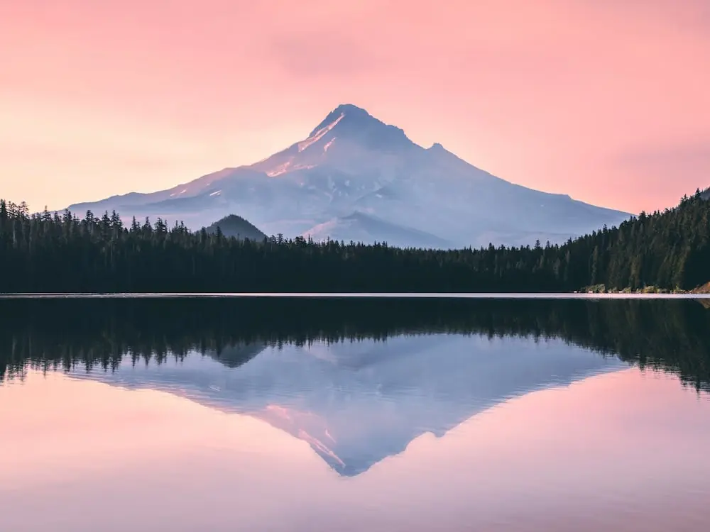 Mt. Hood At Sunset Pastel Pink Discount