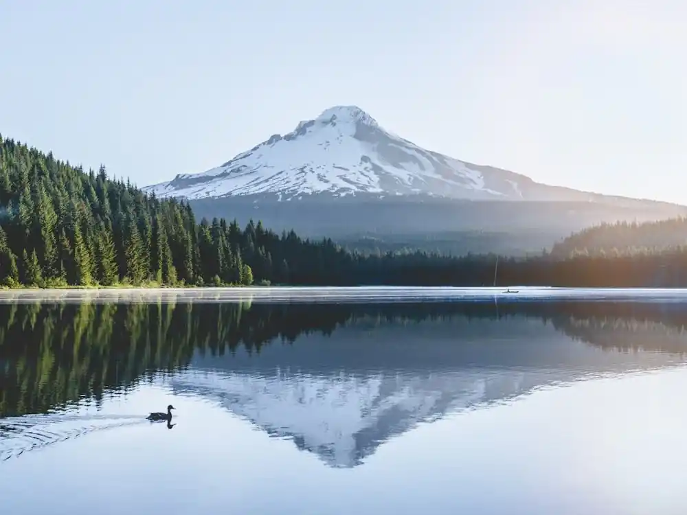 Mount Hood Oregon Reflection Lake Special Discount