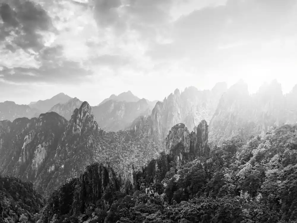 Premium Black And White Mountain View