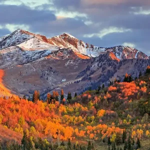 Warranty Included Autumn In Utah